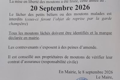 Agrandir l'image 1 sur 8, fenêtre modale