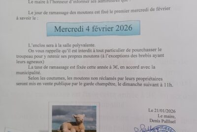 Agrandir l'image 2 sur 8, fenêtre modale