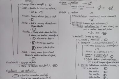 Agrandir l'image 4 sur 8, fenêtre modale