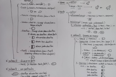 Agrandir l'image 5 sur 8, fenêtre modale