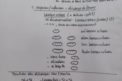 Agrandir l'image 6 sur 8, fenêtre modale