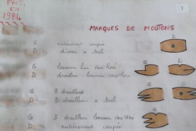 Agrandir l'image 8 sur 8, fenêtre modale